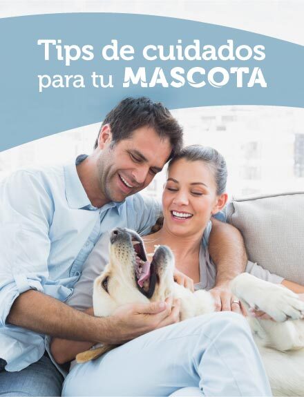 Tips de cuidados para tu mascota