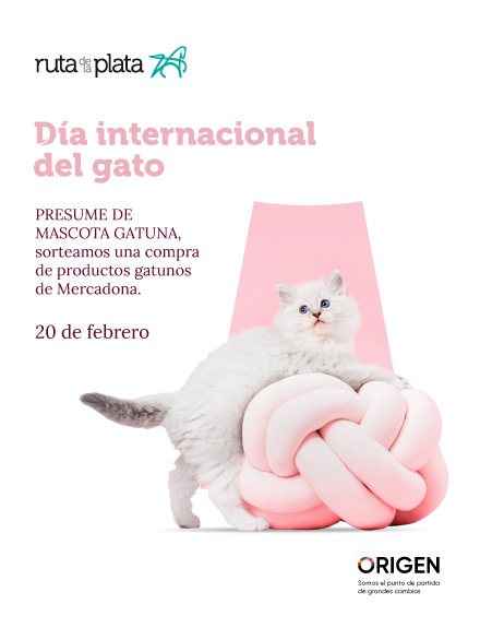 Día internacional del gato