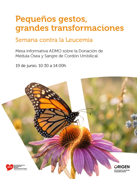 Una mariposa en un flor