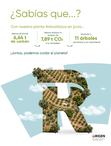 R con paisaje de olivos