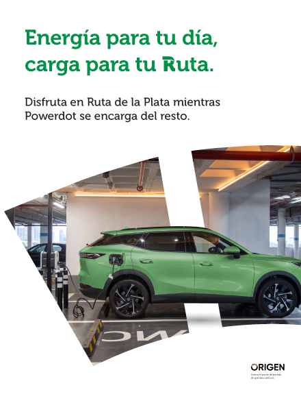 Coche cargándose